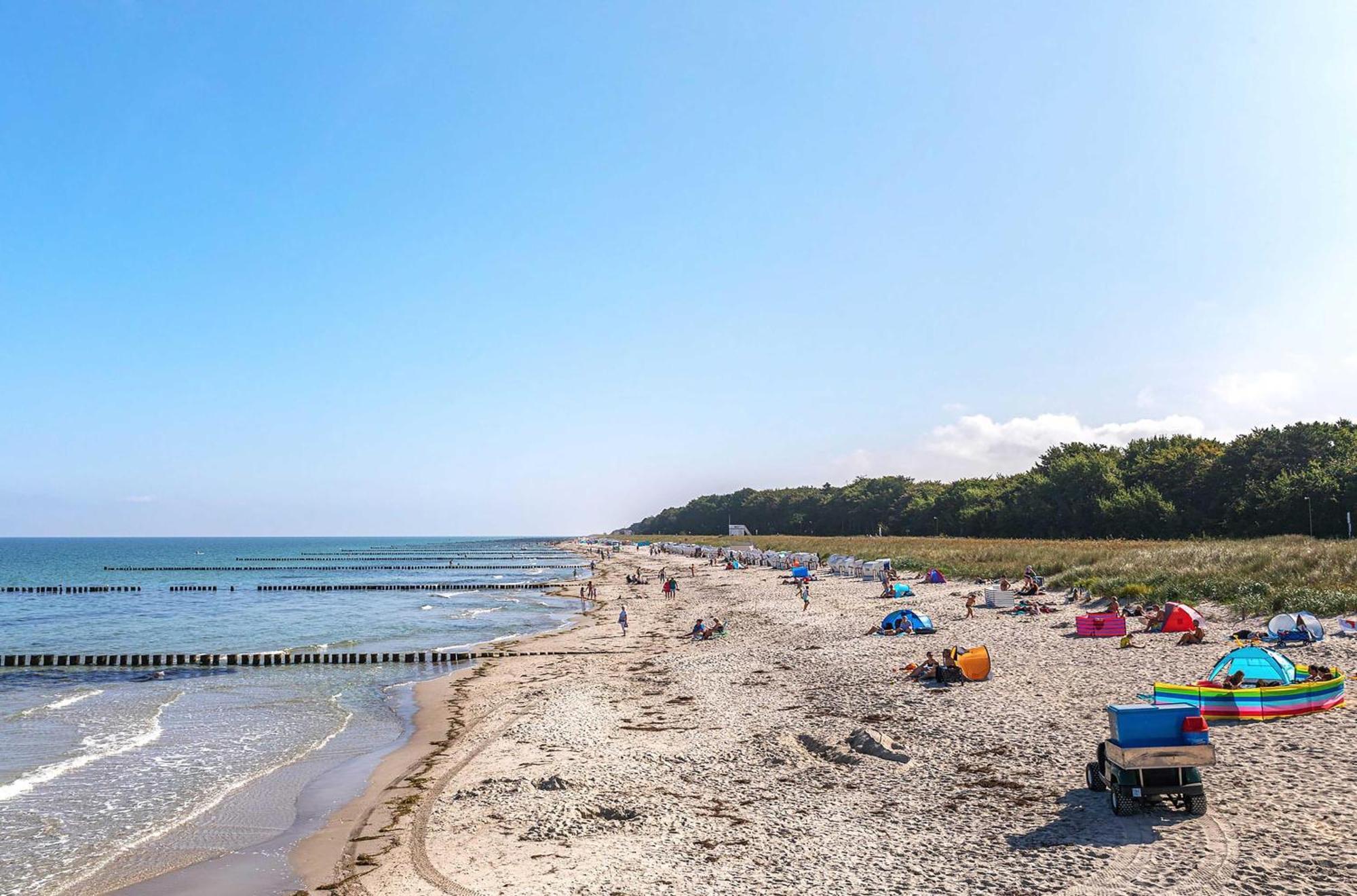 Seebaer Mit Terrasse Zingst Esterno foto