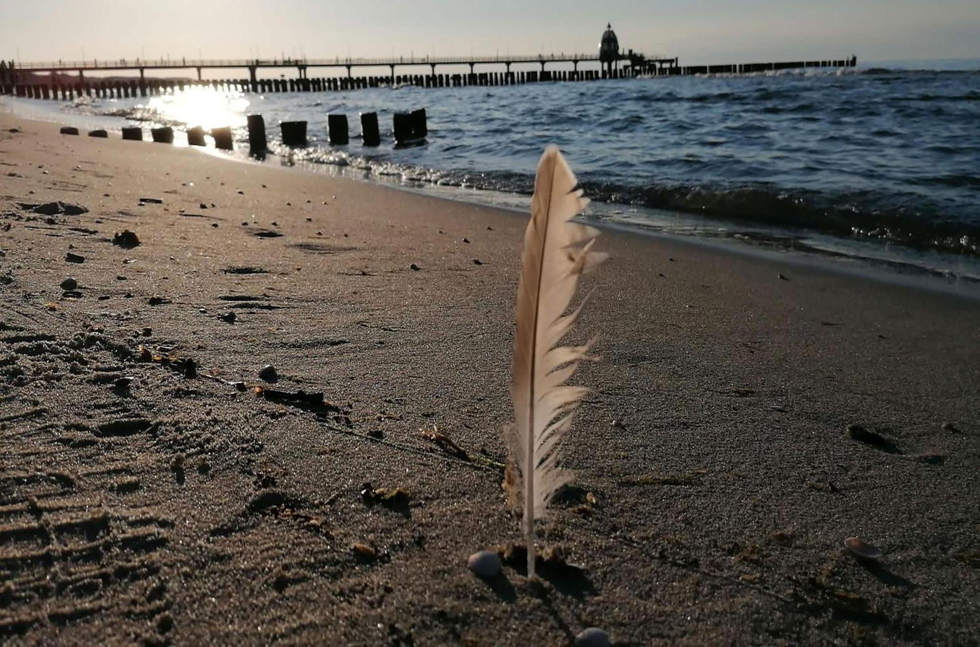 Seebaer Mit Terrasse Zingst Esterno foto